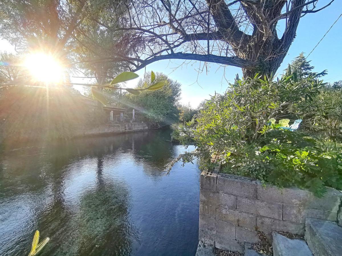 Gite L'Odonate, Partage Des Eaux LʼIsle-sur-la-Sorgue Extérieur photo